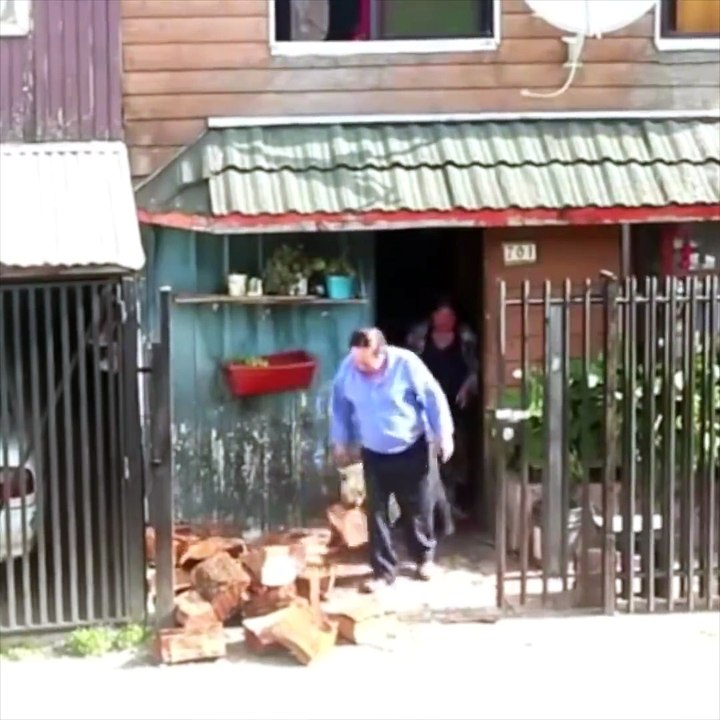Perro Ayudante