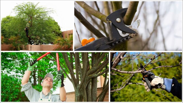 Paint Me Happy Entertainment-(727) 686-6333