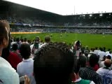 Supporters algériens en délire Brésil-Algérie