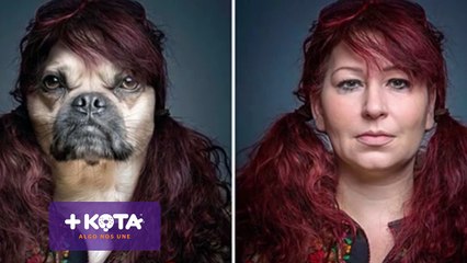 +KOTA- Día mundial de los animales