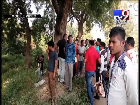 Tree 'mysteriously' catches fire in Padra, Vadodara - Tv9 Gujarati