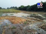 Banaskantha : 10-ft breach in Charda canal of Tharad submerges farms - Tv9 Gujarati