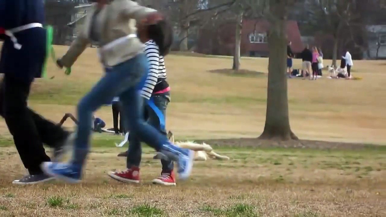 Ce chien fait le mort pour rester au parc plus longtemps lol