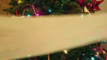 ELF ON THE SHELF PRANK!