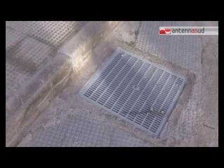 TGSRVnov03 rapporto ecosistema scuola