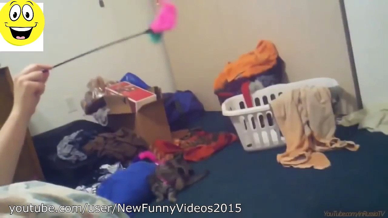 .Funny Cats Vines - Funny Videos Compilation 2014 - HD ✔