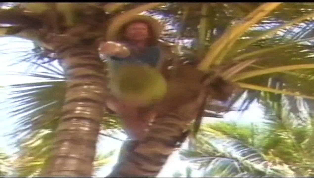 Sunshine Reggae - Laid Back