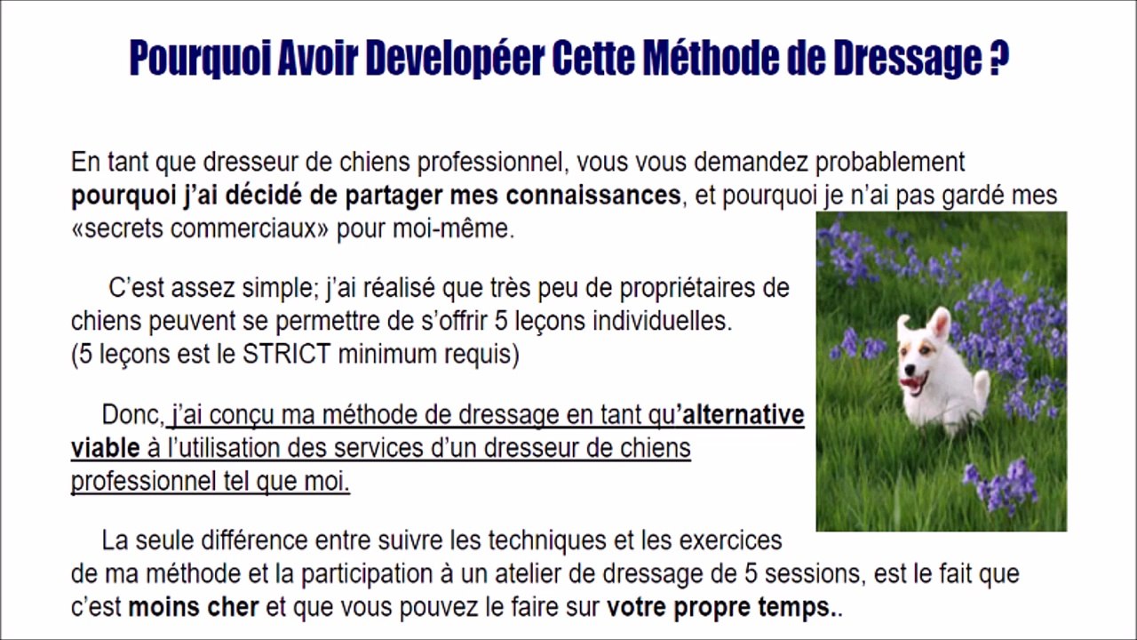 Dressage chien: Apprendre comment dresser son chien grâce à ce Guide complet 2016