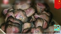 Uang US$16.000 hangus karena lupa menaruhnya di kompor - Tomonews