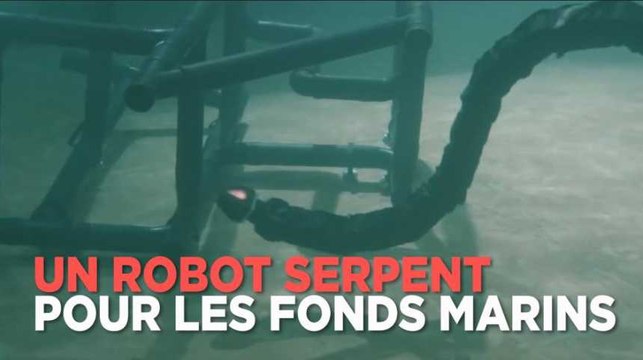 Ce serpent-robot paraît effrayant, mais pourra explorer les fonds marins