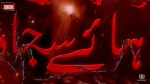 Anwar Ali | Hay Hay Abid A.S | ShiaSoft Network | Nohay 2016-17 - HD