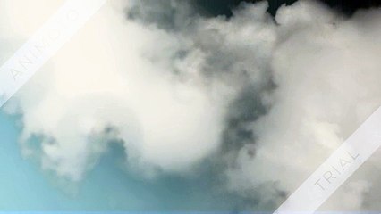 digital marketing services company