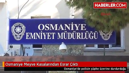 Osmaniye Meyve Kasalarından Esrar Çıktı