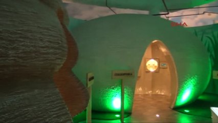 Konya Kamuflaj Ustası Böcekler