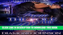 Read Now From the Pole to the Palace: A Love Nobody Expected Download Book