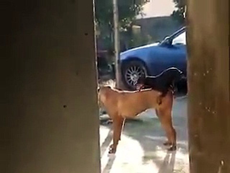 alcanzando tus sueños