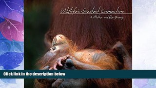 Big Deals  Wildlife s Greatest Connection: A Mother and Her Young  Best Seller Books Best Seller