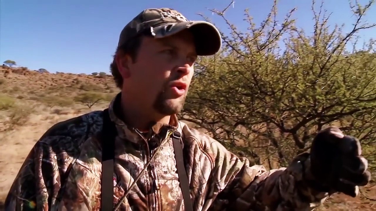 Chasse le Buffle du Cap avec un Arc