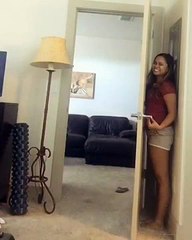 Dünyanın En Kötü Saklambaç Oyuncusu Köpek