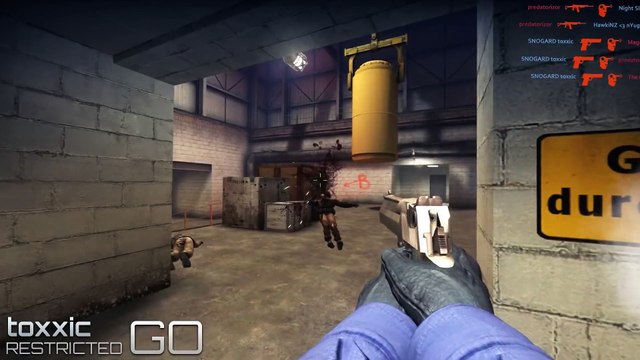 Restricted CS GO - Counter Strike Global Offensive Montage by biBa