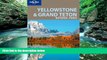Big Deals  Lonely Planet Yellowstone   Grand Teton National Parks  Best Seller Books Best Seller