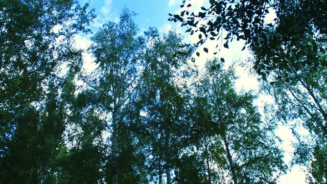 Великий Новгород - Родина России