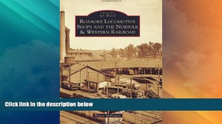 Big Deals  Roanoke Locomotive Shops and the Norfolk   Western Railroad (Images of Rail)  Full Read