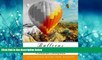 FAVORITE BOOK  Balloon Shading Coloring Book: Grayscale coloring books for adults Relaxation Art