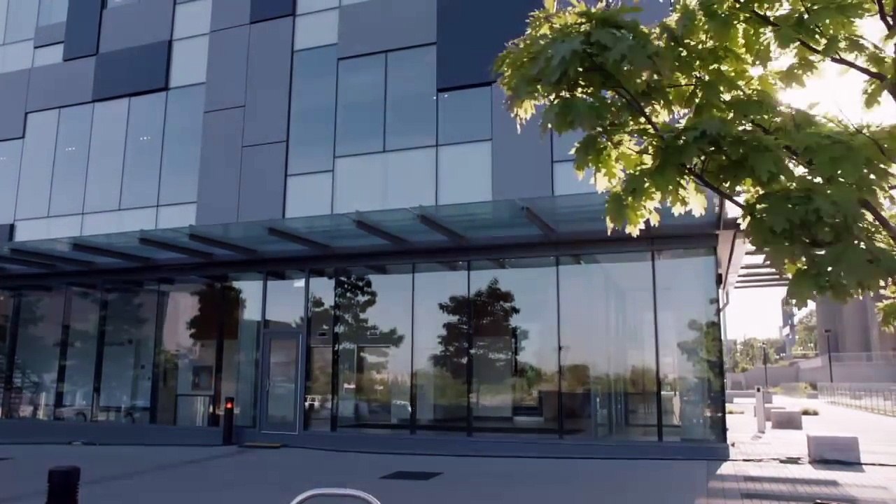 Ces chiens sont entraînés pour aider les aveugles à surfer sur le net. Génial !