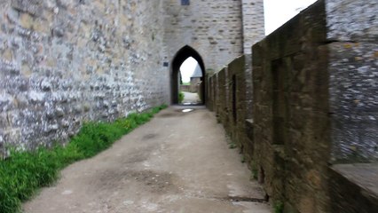 Cité de Carcassonne 96