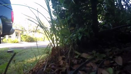 Lego Train Set Fails 2016 Part2