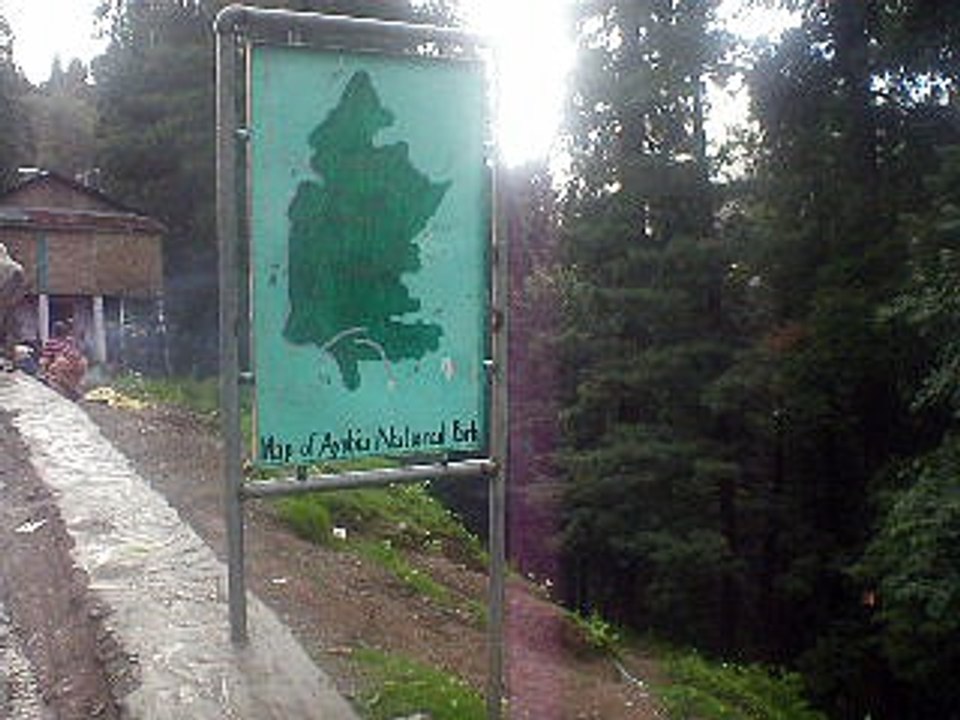 Ayubia Pipeline Track to Donga Gali