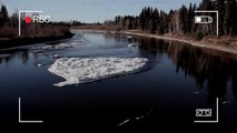 Le monstre du Loch Ness en Alaska ?!