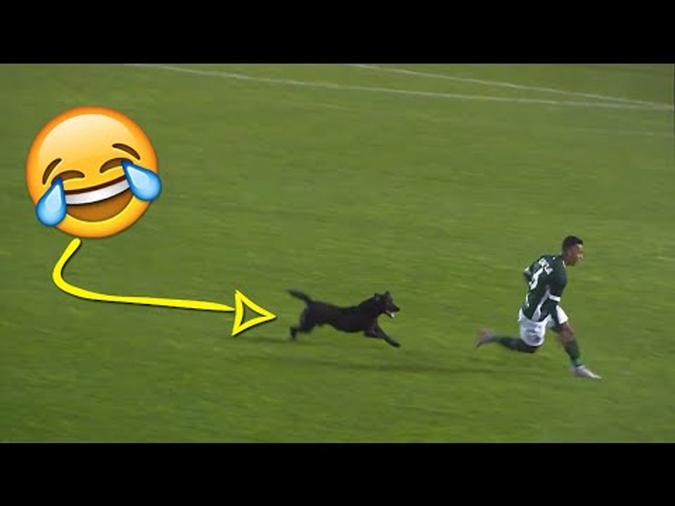BEST SOCCER FOOTBALL VINES - GOALS, SKILLS, TRICKS AND FAILS #22