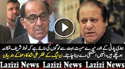 Nawaz Sharif Has Become Controversial, He Should Step Down - PMLN's Zafar Ali Shah