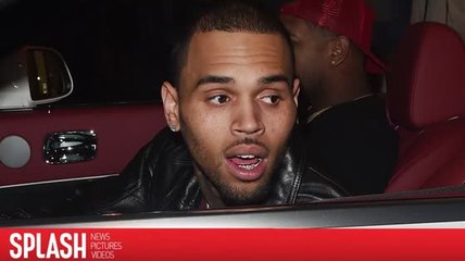 La acosadora de Chris Brown es ordenada a mantenerse lejos de él por 5 años