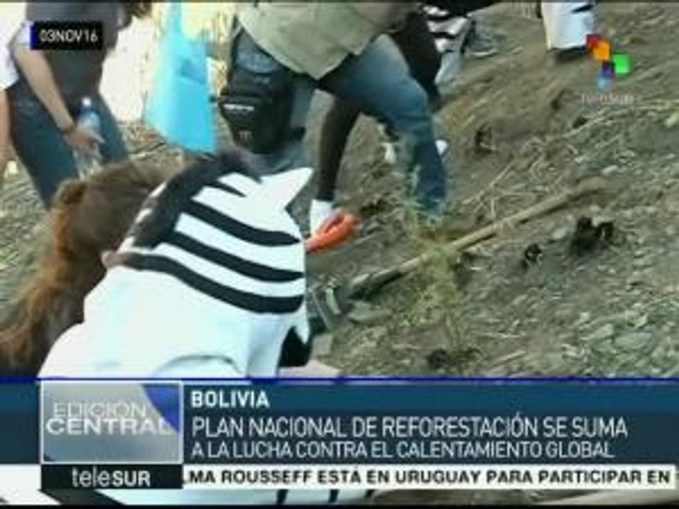 Bolivia lanza un ambicioso Plan Nacional de Reforestación