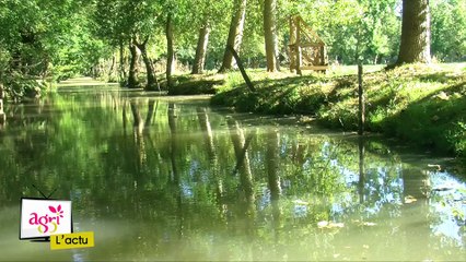 JT Agri85 TV du vendredi 4 novembre 2016