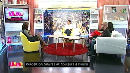 Présentation de l'exposition Charles Hair et Arnaud Franc, Chinon, Chai Couly, Galerie Nathalie Béreau mercredi 2 novembre 2016