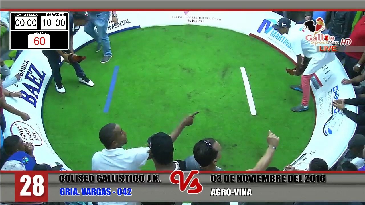 Pelea#28-031116
