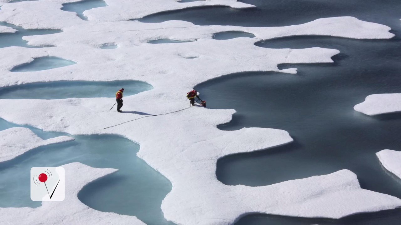 A Mysterious 'Beeping' in the Arctic Sea Has Animals Spooked