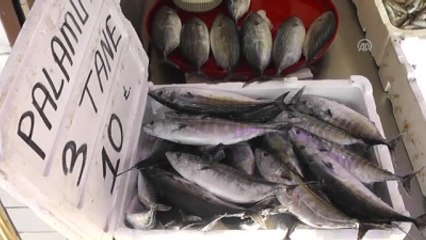 Palamut Bolluğu, Salamurasına da Yansıdı