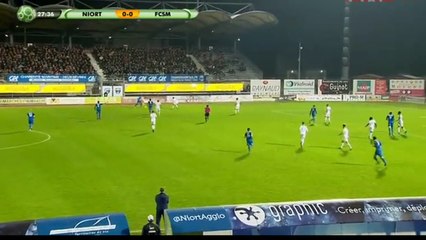 Dona Ndoh Goal HD - Niort	1-0	Sochaux 04.11.2016