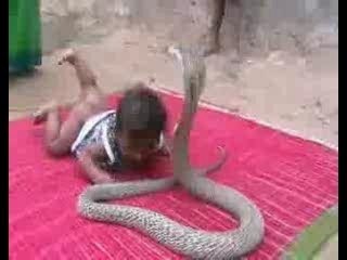 Video_videozik-com_79868_l-enfant-et-le-cobra