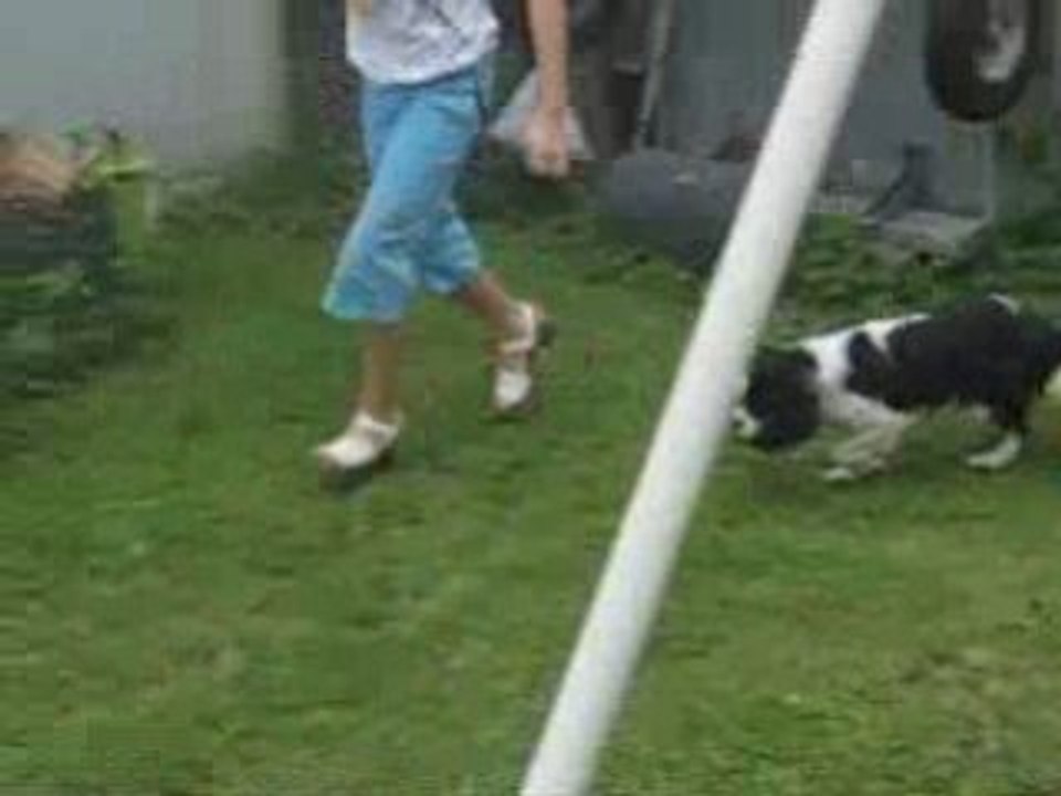 Parcours CSO avec Udine