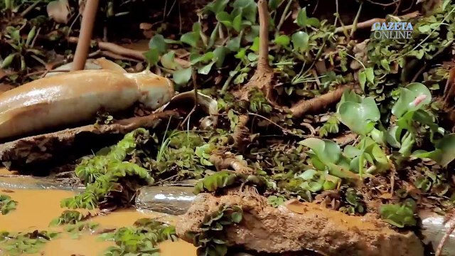 Bento Rodrigues, a cidade destruída no desastre da Samarco