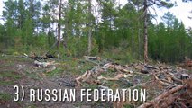 Top 10 Countries With Highest Deforestation