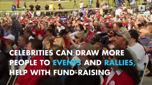 How much do celebrity endorsements actually influence election results?