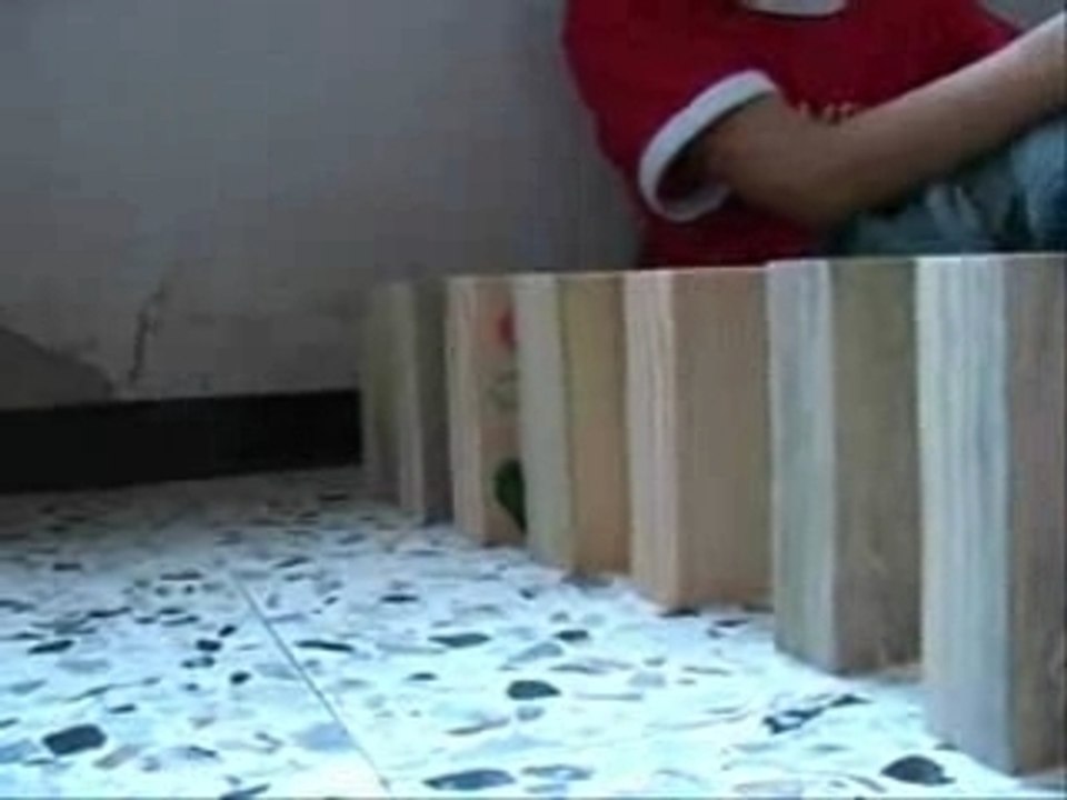 Domino