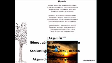 Akşamlar Şiiri Uğur Erden